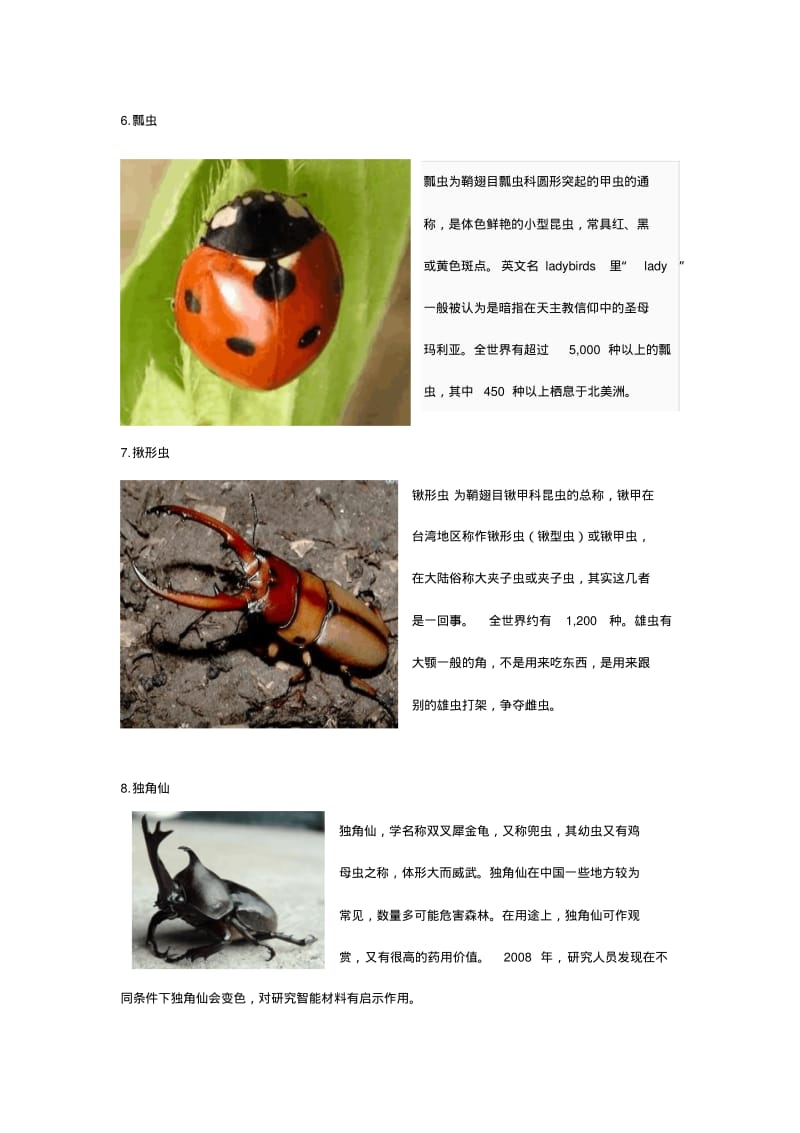 认识昆虫(名字图片)课件资料.pdf_第3页