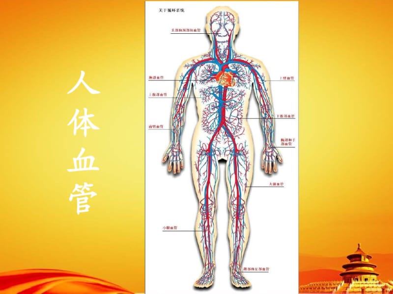 新人教版七年级生物下册：4.1《流动的组织-血液》课件.pdf_第1页