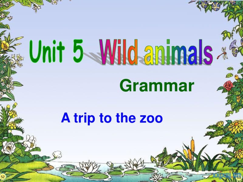 牛津译林版8AUnit5WildanimalsGrammar课件(共29张PPT).pdf_第2页