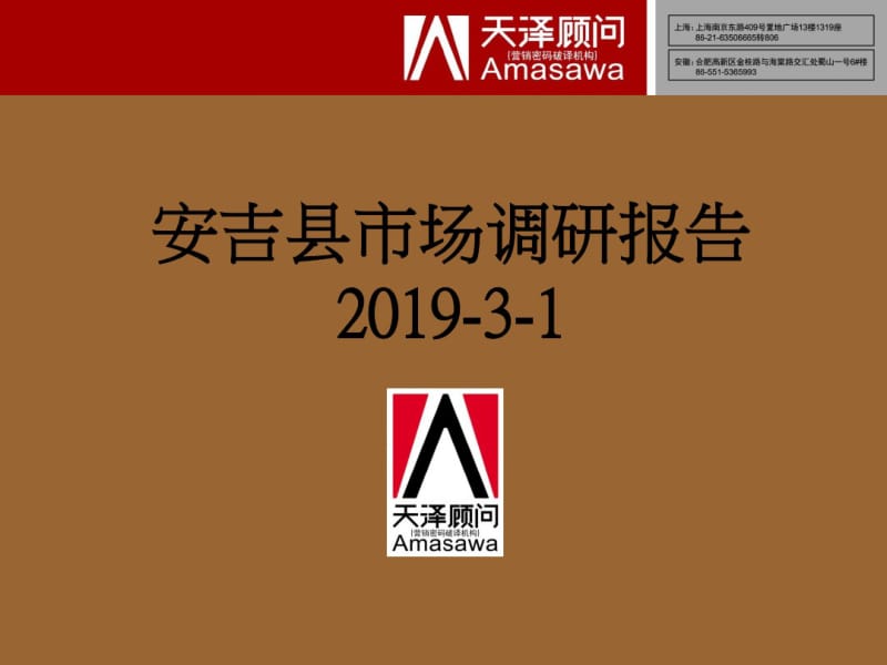 2019安吉市场调研报告-文档资料.pdf_第1页