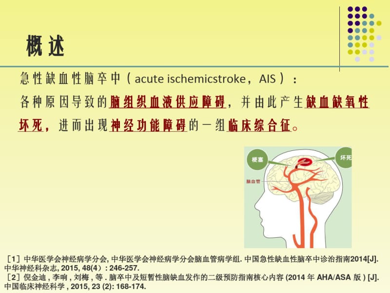 急性缺血性脑卒中.pdf_第2页