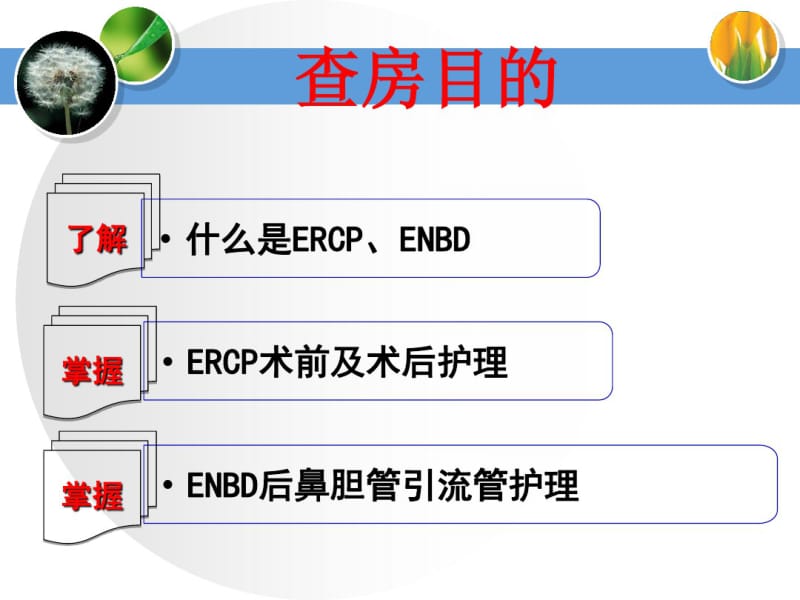 ercp相关技术及护理.pdf_第2页