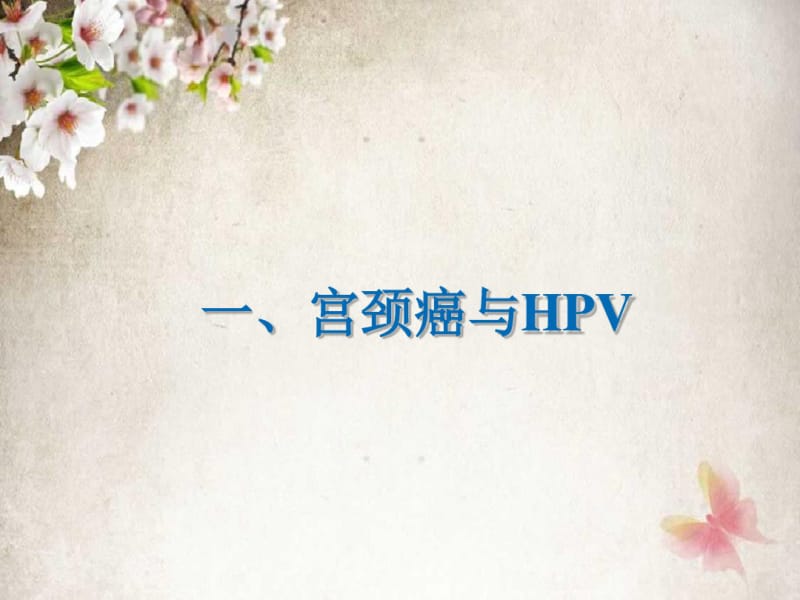 HPV分型检测的介绍.pdf_第3页