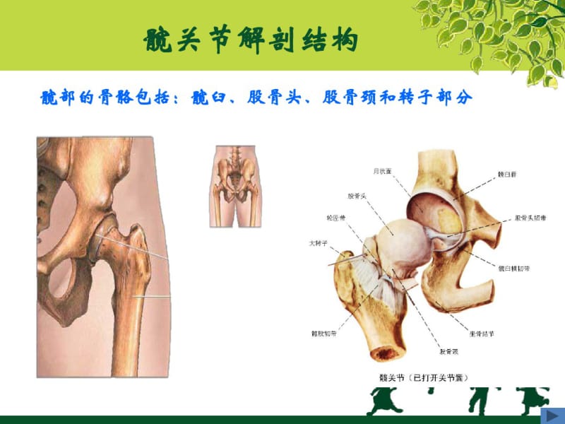 人工髋关节置换术康复护理教学文案.pdf_第3页