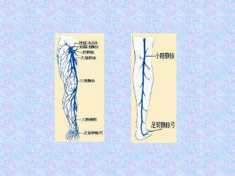 下肢深静脉血栓的介入治疗课件-医学资料.pdf_第2页