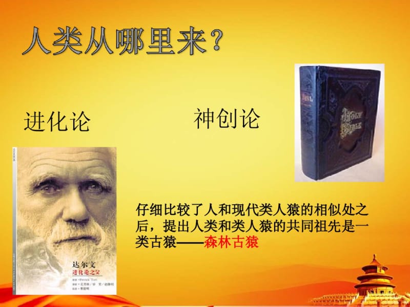 新人教版七年级生物下册：1.1《人类的起源和发展》课件.pdf_第3页