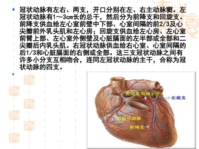 冠状动脉搭桥术患者护理查房课件-医学精品.pdf_第2页