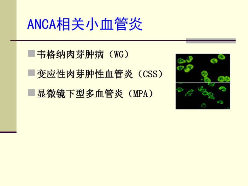 内科学课件anca相关性血管炎治疗进展-精品文档.pdf_第2页