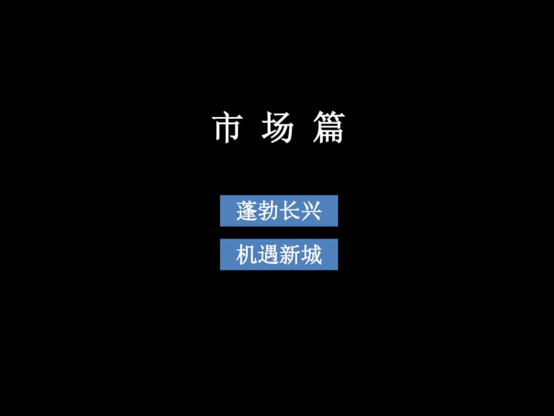 2019长兴商业市场调研考察报告52p共53页PPT资料.pdf_第3页