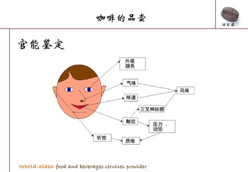 咖啡的品尝冲泡设备和方法共28页PPT资料.pdf_第2页