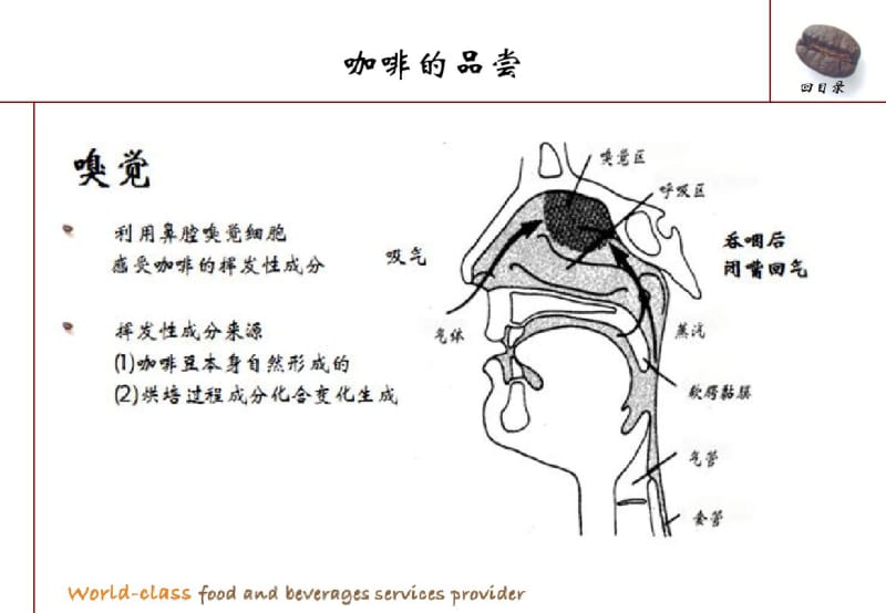 咖啡的品尝冲泡设备和方法共28页PPT资料.pdf_第3页