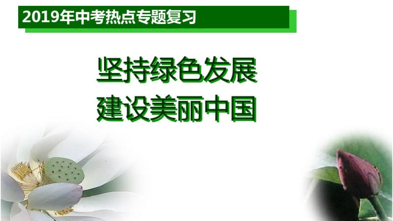 中考道德与法治专题复习课件：坚持绿色发展,建设美丽中国(共24张PPT)(优质推荐版).pdf_第3页