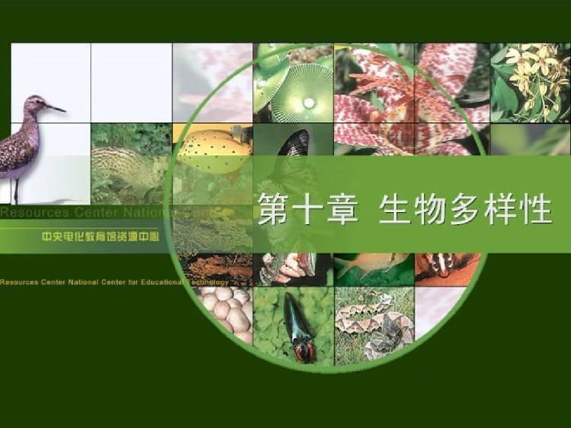 关于生物多样性课件.ppt.pdf_第1页