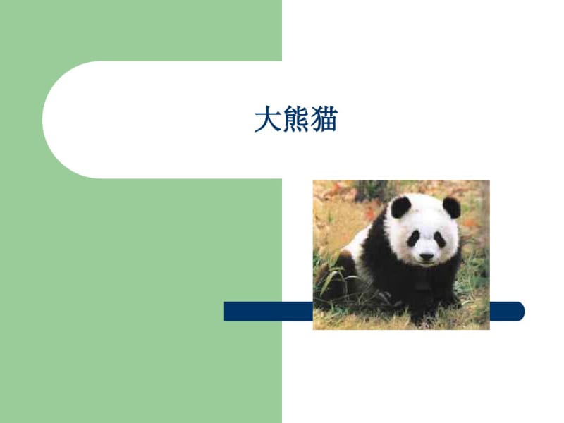 《保护野生动物》PPT-环保主题班会课件.ppt.pdf_第3页