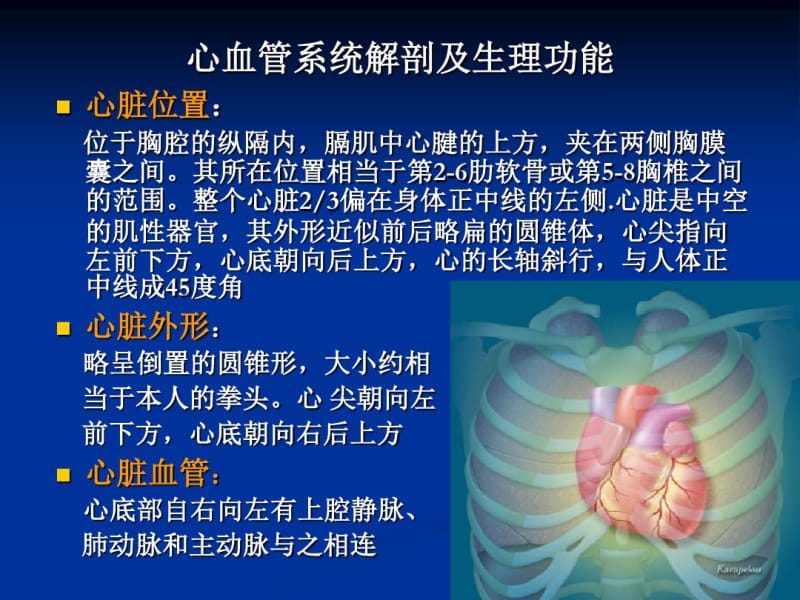 心血管系统解剖及生理功能心血管基础知识共53页.pdf_第2页