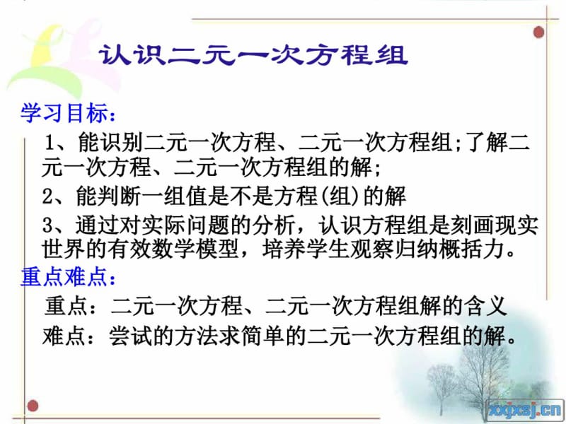 《认识二元一次方程组》二元一次方程组PPT课件(1).pdf_第2页