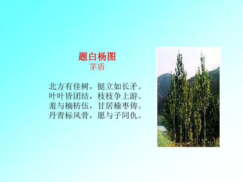 《白杨礼赞》课件.ppt.pdf_第3页