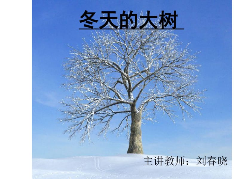 冬天的大树演示文稿课件.ppt.pdf_第1页