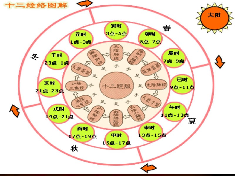 【PPT课件】中医经络养生之十二时辰养生课案共30页.pdf_第2页