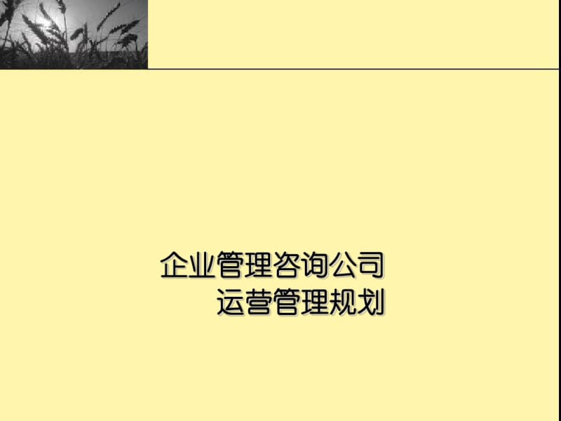 企业管理咨询公司运营管理规划共122页PPT资料.pdf_第1页