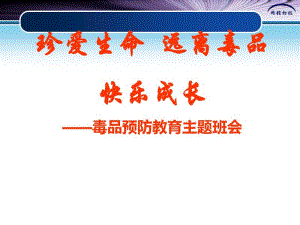 毒品预防教育主题班会教案(3.10).pdf