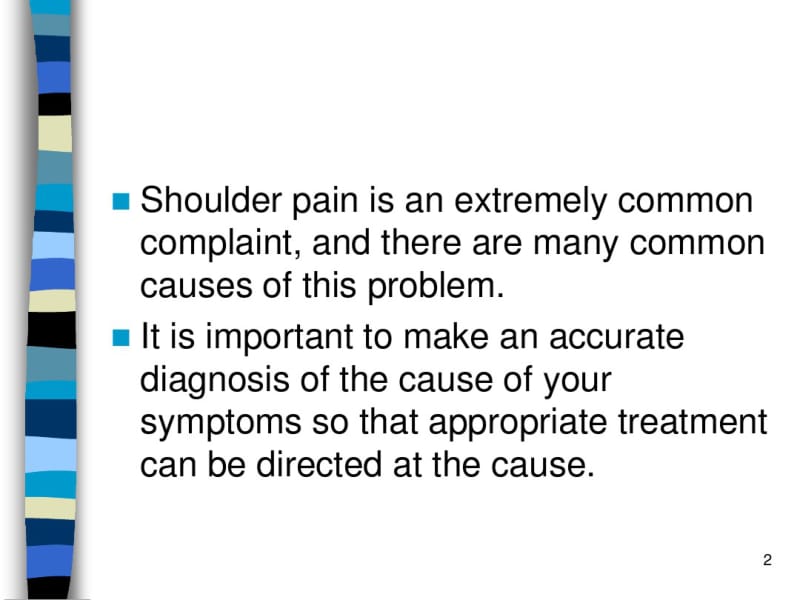 ShoulderPain.pdf_第2页