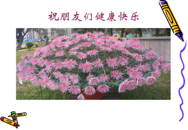 中医药治病的特色与优势.pdf_第2页