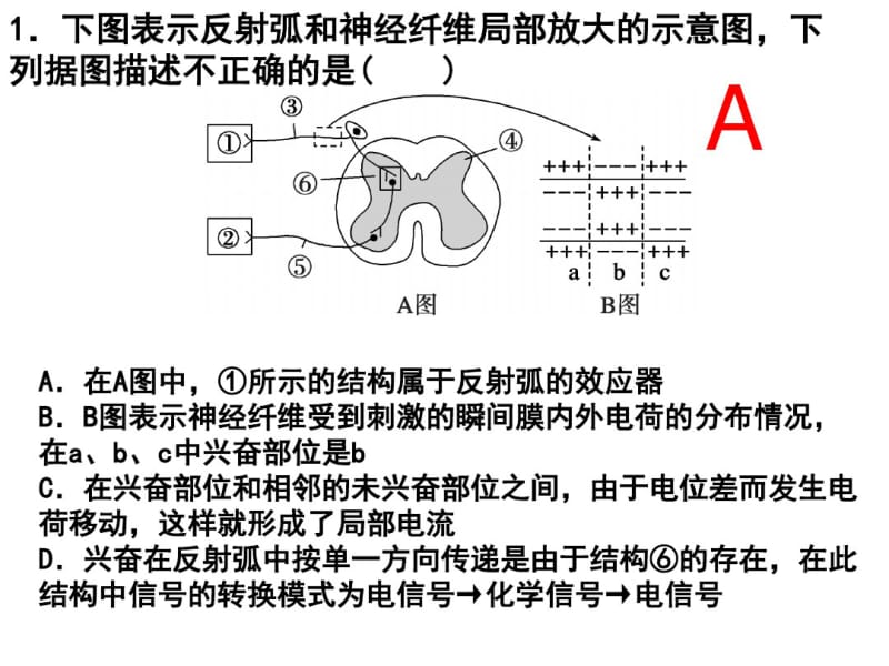 专题五神经调节和体液调节(高三二轮复习).pdf_第3页