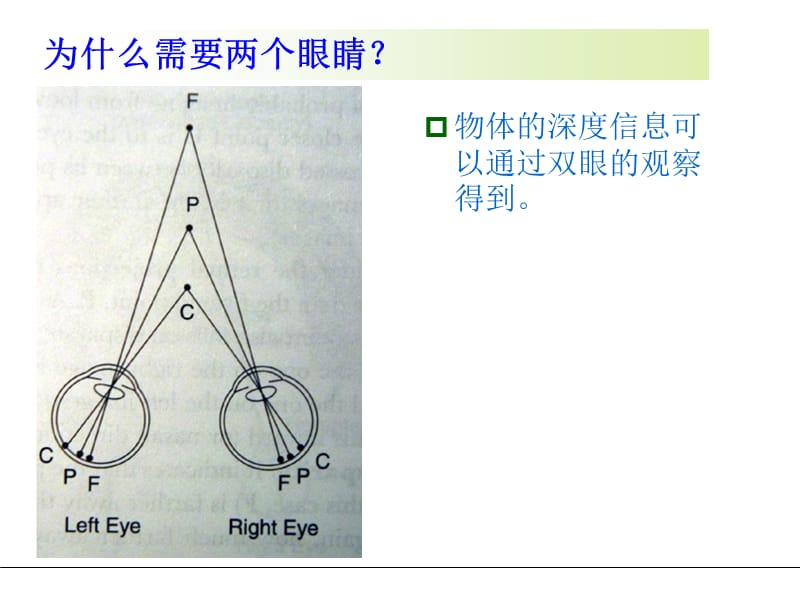 基于结构光与双目视觉.ppt_第2页