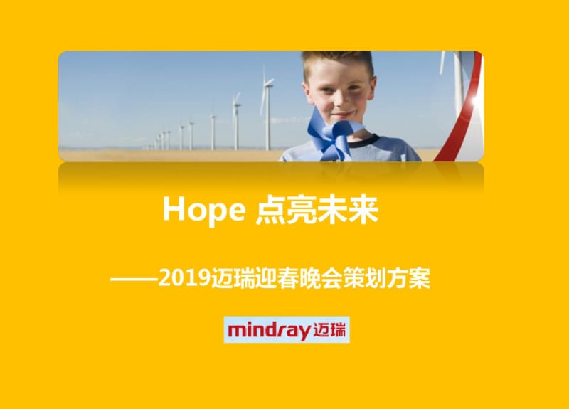 2019年“Hope点亮未来”迈瑞集团迎春年会活动的的策划案-精选文档.pdf_第1页