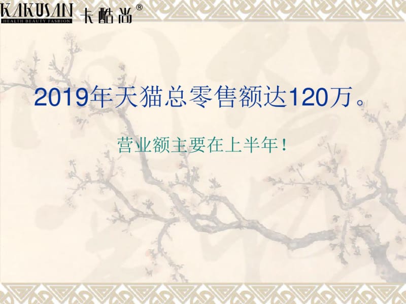 2019年度总结暨2019年淘宝天猫运营计划-文档资料.pdf_第2页