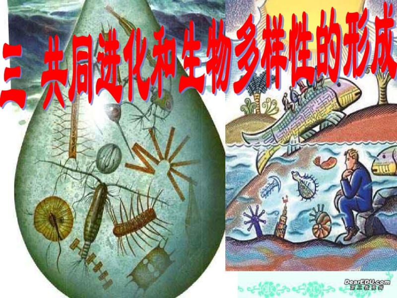 共同进化和生物多样性的形成.pdf_第1页