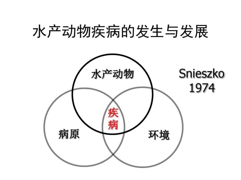 2019微生态制剂-PPT精品文档.pdf_第1页