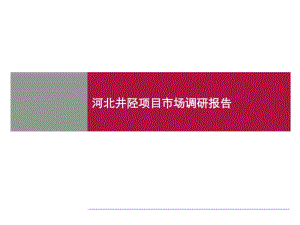 2019年河北石家庄井陉的项目市场调研的报告-精品文档.pdf