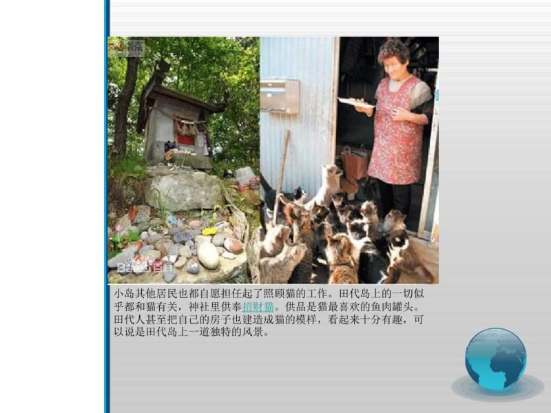 世界各种猫咪介绍课件.pdf_第3页