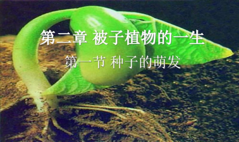 初中人教版七年级上册生物课件3.2.1种子的萌发(第2课时)精品课件资料.pdf_第1页