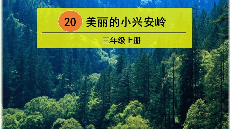 20 美丽的小兴安岭  【部编(统编)版 三年级上语文 教学课件PPT】.pptx_第1页