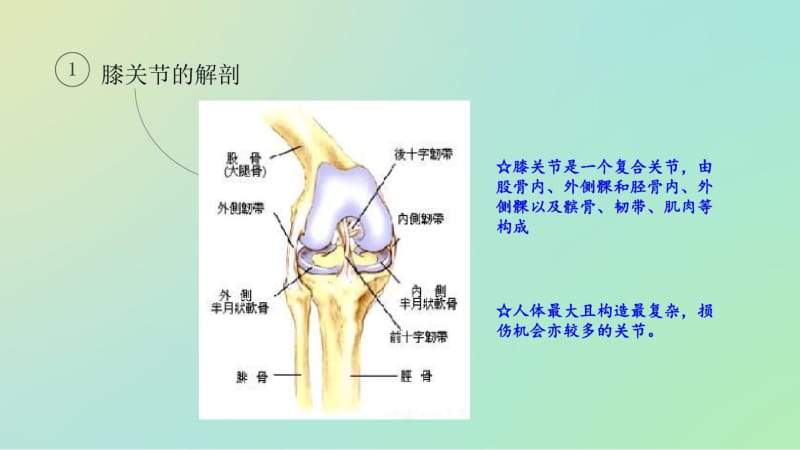 全膝关节置换术的围手术期护理分析.pdf_第3页