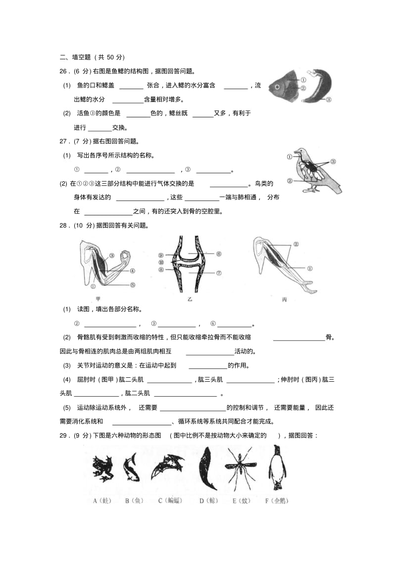 人教版八年级上册生物期末测试题汇总.pdf_第3页