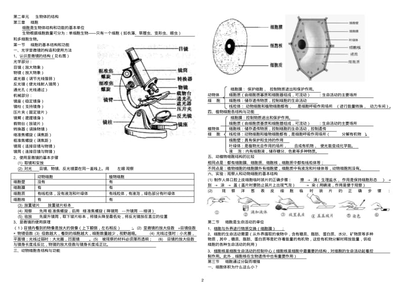 北师大版生物七年级上册复习提纲(修改版)汇总.pdf_第2页