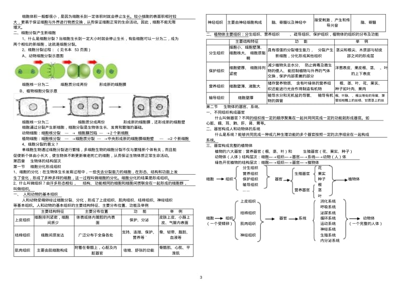 北师大版生物七年级上册复习提纲(修改版)汇总.pdf_第3页