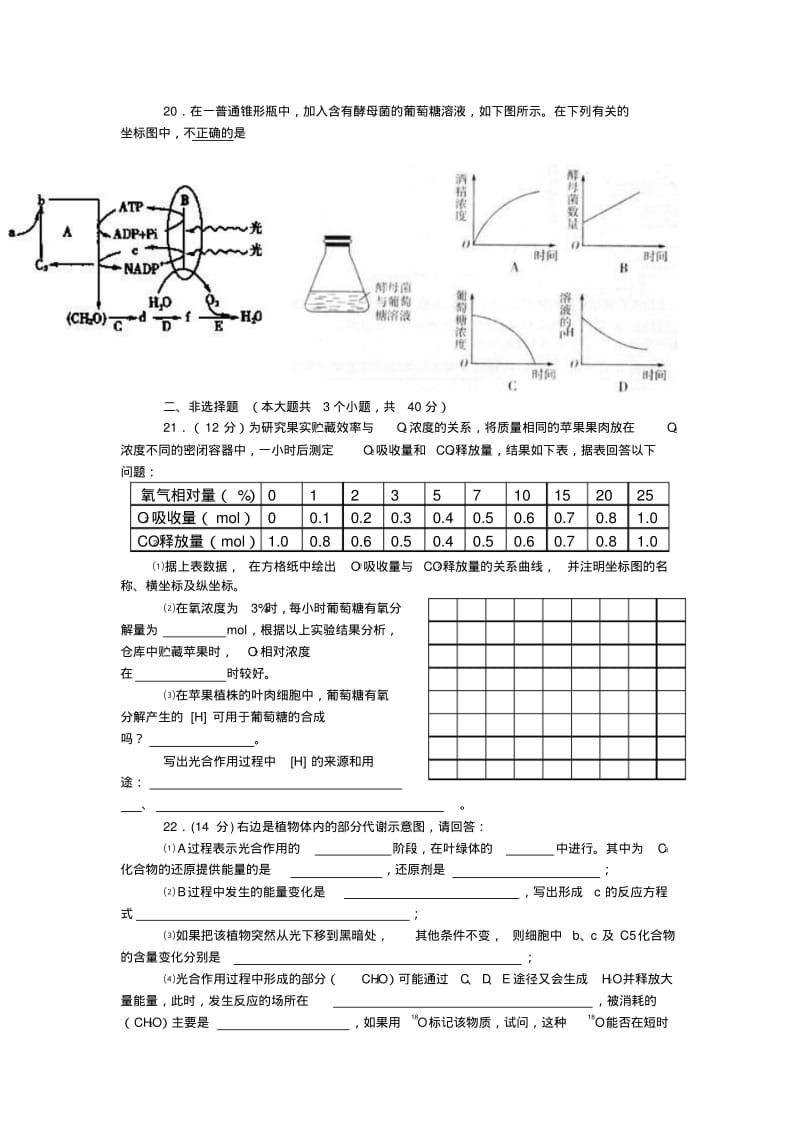 光合作用与呼吸作用训练题汇总.pdf_第3页