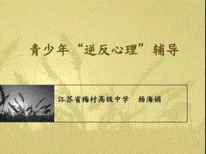 青少年逆反心理辅导课件.ppt.pdf