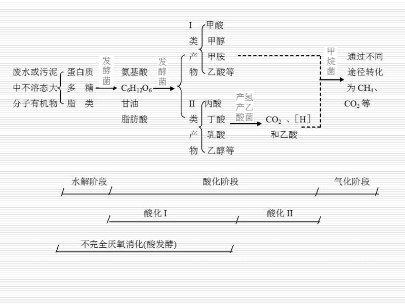 厌氧发酵原理汇总.pdf_第3页