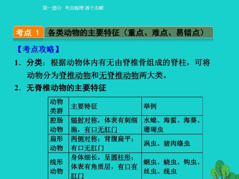 【人教版】2017版中考生物考点梳理：5.1《动物的主要类群》ppt课件.pdf_第3页