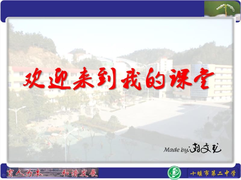 动物细胞结构层次.pdf_第1页