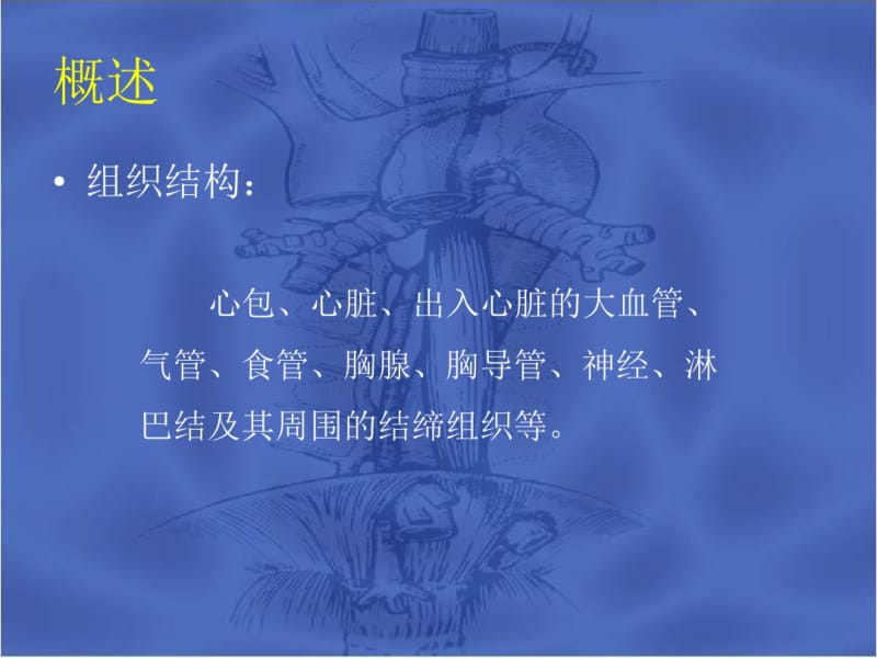 原发性纵膈肿瘤课件.pdf_第3页