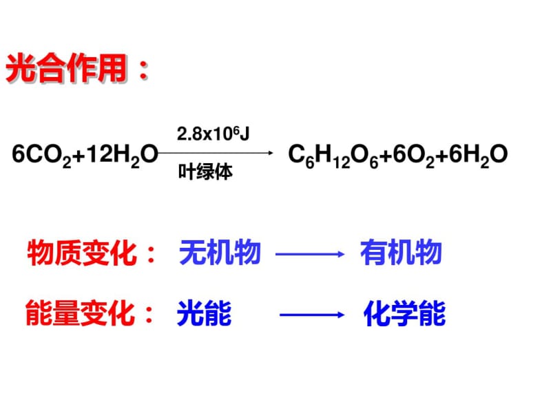 第二节生态系统中的生产量和生物量.pdf_第2页