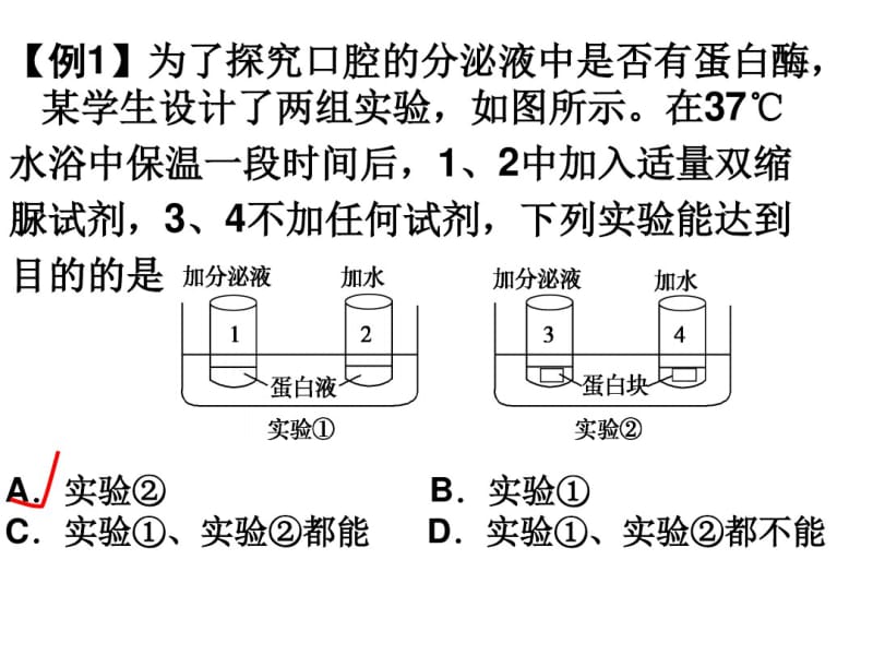 酶的相关实验.pdf_第1页