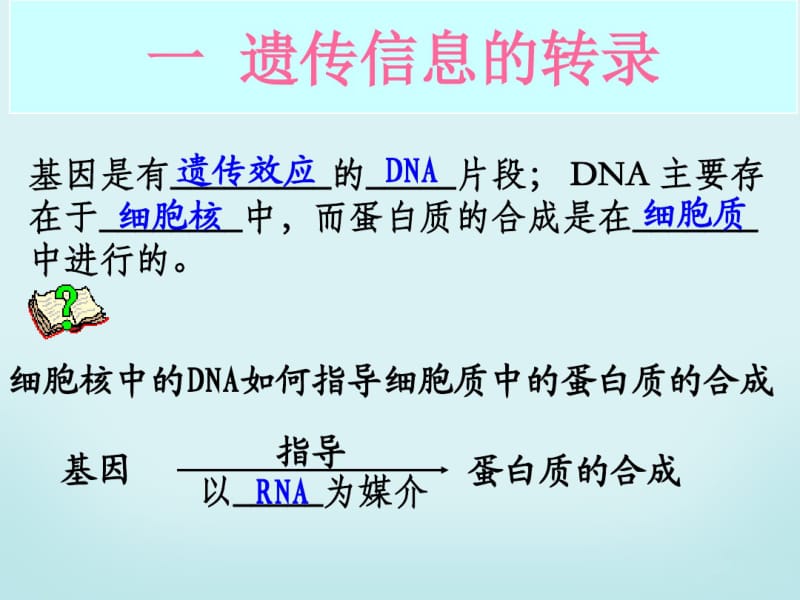 第一节基因指导蛋白质的合成.pdf_第3页